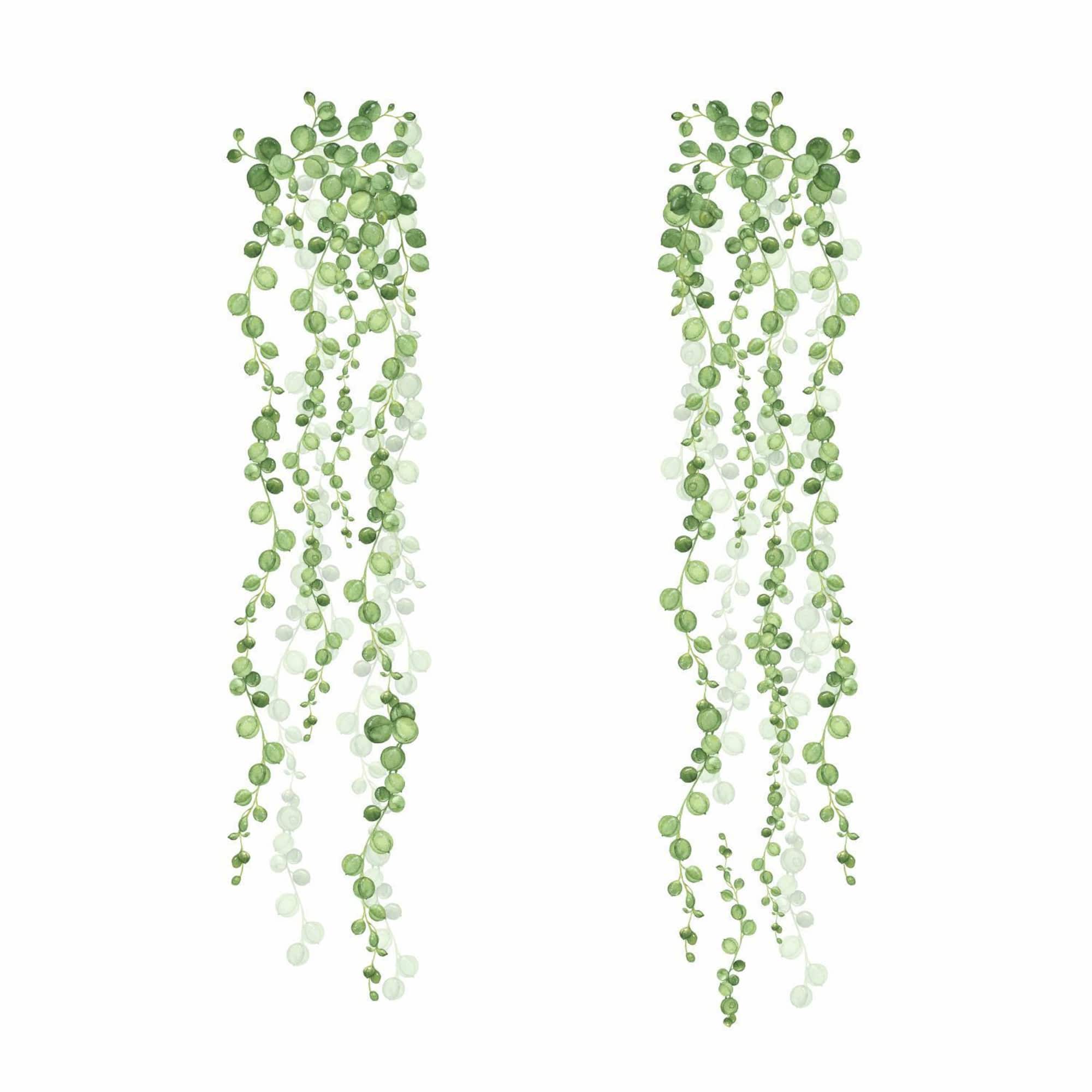 RoomMates String Of Pearls Vine Peel & Stick Wall Decals